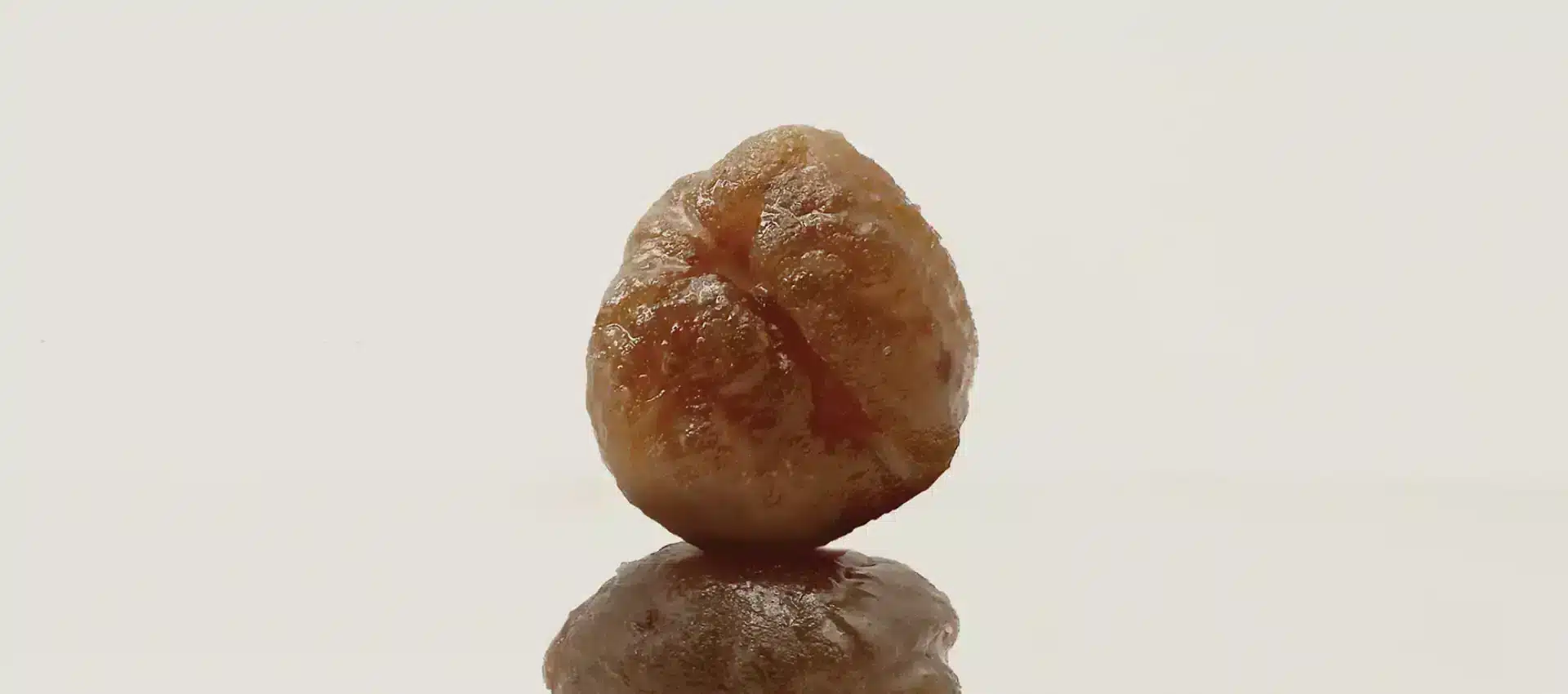 Crème de marrons