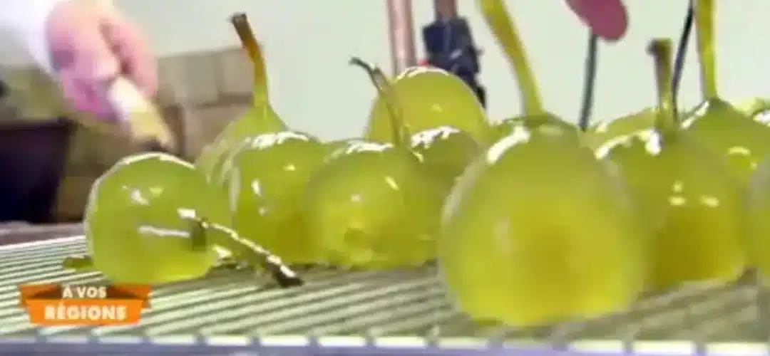 La confiserie Lilamand au coeur des Alpilles