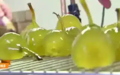 La confiserie Lilamand au coeur des Alpilles